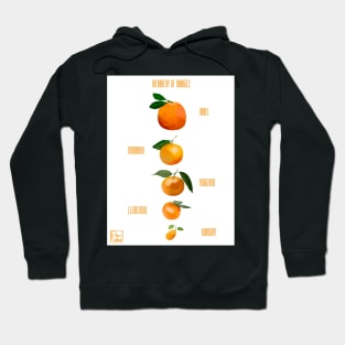 Hierarchy of Oranges Hoodie